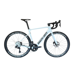 E - Rennrad / XPERIENCE - MAHLE X20 / Aerocockpit / Carbon LRS